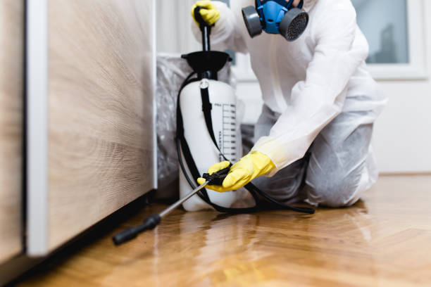 Best Insect Control  in Howell, MI